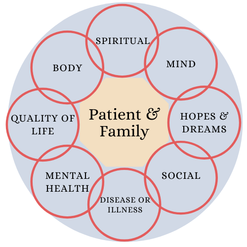 words 'patient and family' are centered with the words spiritual, mind, hopes and dreams, social, disease or illness, mental health, quality of life, and body are placed in a circle around it