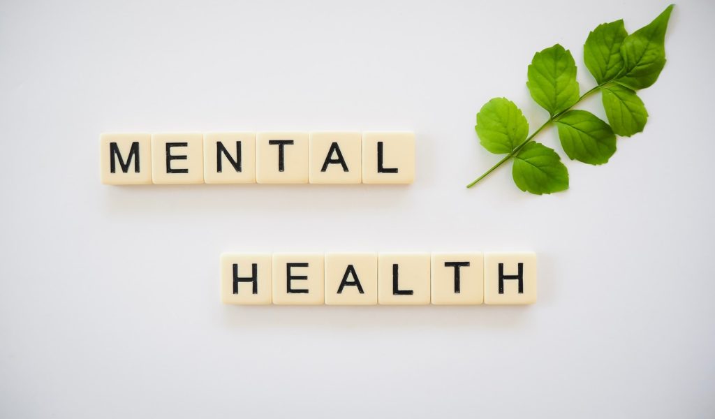 Words 'mental health' on a white background with a green branch in upper right-hand corner